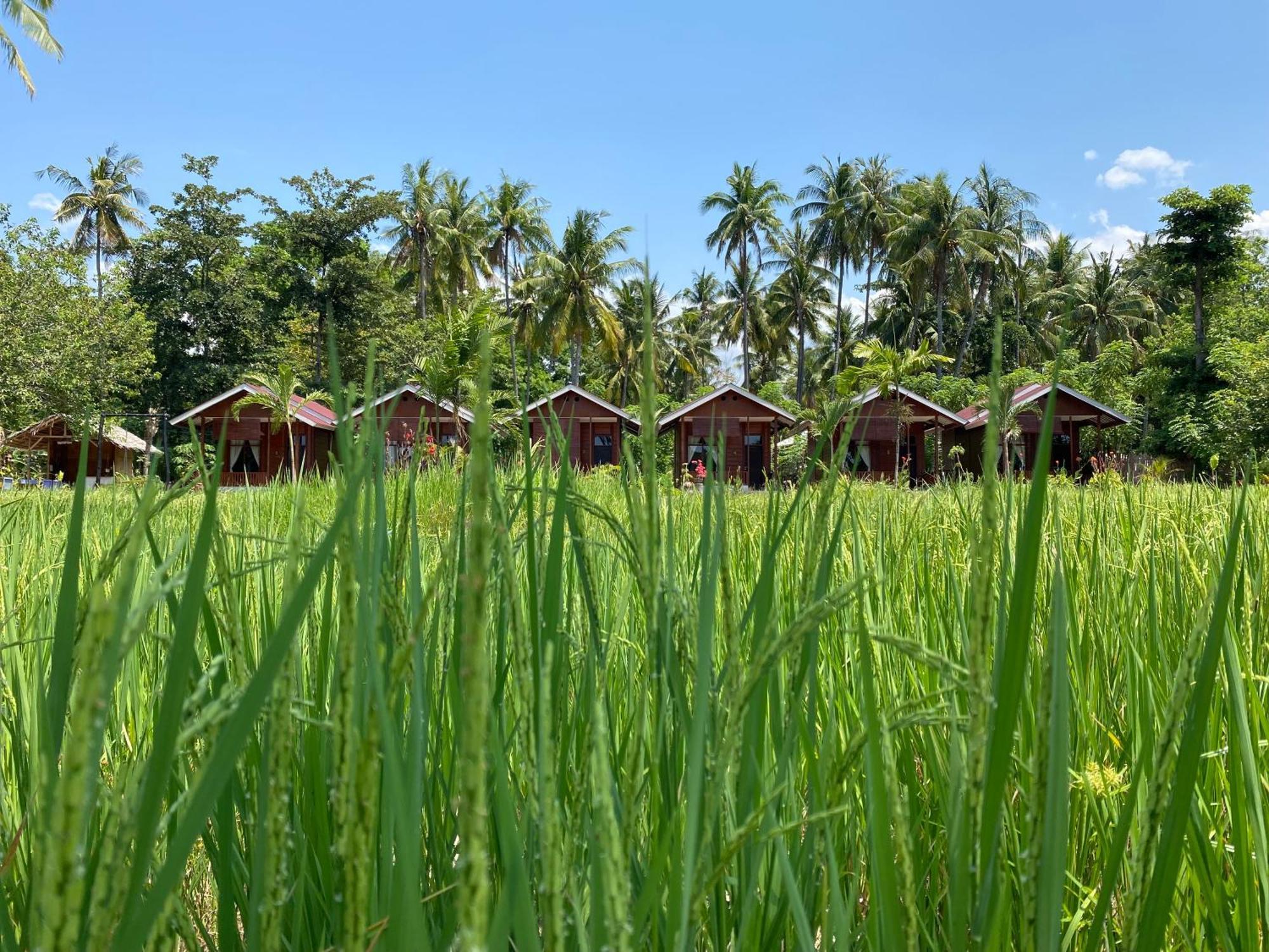 Nuna Bungalows Riung Exterior photo